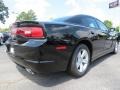 Pitch Black - Charger SE Photo No. 3