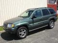 Onyx Green Pearlcoat - Grand Cherokee Overland 4x4 Photo No. 6
