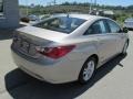 Camel Pearl - Sonata GLS Photo No. 9