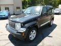 Brilliant Black Crystal Pearl 2010 Jeep Liberty Limited 4x4 Exterior