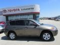 Pyrite Metallic - RAV4 I4 4WD Photo No. 2