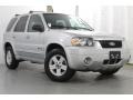 Silver Metallic - Escape Hybrid 4WD Photo No. 5