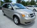 2009 Light Sandstone Metallic Dodge Grand Caravan SXT  photo #12