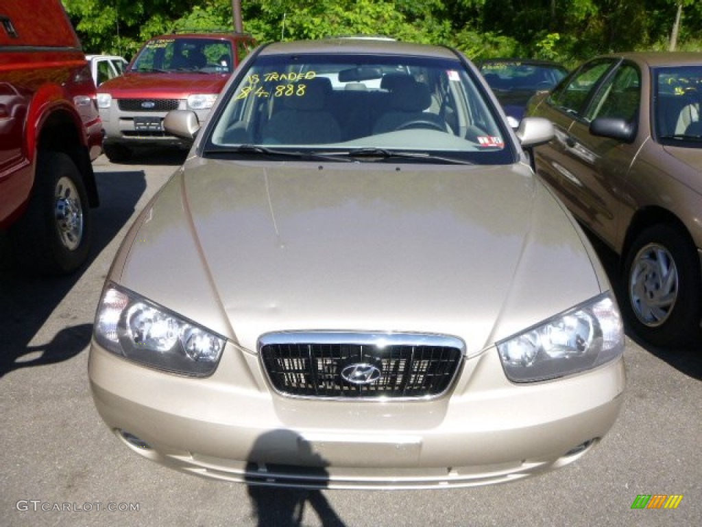 2002 Elantra GLS Sedan - Champagne Beige / Beige photo #5