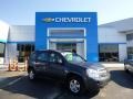 Cyber Gray Metallic 2009 Chevrolet Equinox LS