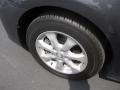 2010 Magnetic Gray Metallic Toyota Camry LE  photo #13