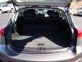 2008 Platinum Graphite Gray Infiniti EX 35  photo #23