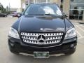Black - ML 350 4Matic Photo No. 11