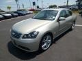 Serengeti Sand Metallic - M 45 Sedan Photo No. 3