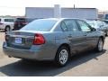 2006 Silver Green Metallic Chevrolet Malibu LS Sedan  photo #4