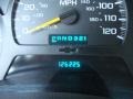 Indigo Blue Metallic - TrailBlazer LS 4x4 Photo No. 13