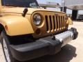 Dune - Wrangler Unlimited Sahara 4x4 Photo No. 13