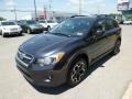 2013 Dark Gray Metallic Subaru XV Crosstrek 2.0 Limited  photo #3