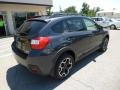 2013 Dark Gray Metallic Subaru XV Crosstrek 2.0 Limited  photo #7