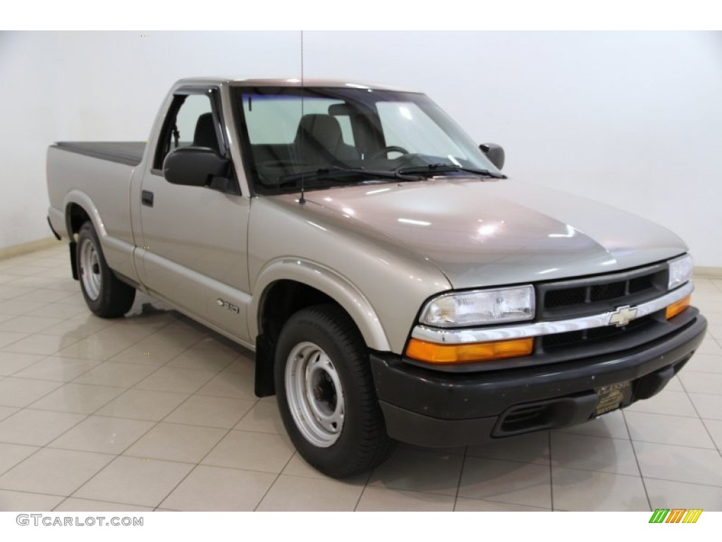 1999 S10 Regular Cab - Light Pewter Metallic / Graphite photo #1