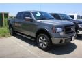 2013 Sterling Gray Metallic Ford F150 FX4 SuperCrew 4x4  photo #2