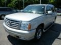 Quicksilver - Escalade AWD Photo No. 3