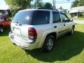 2004 Silverstone Metallic Chevrolet TrailBlazer LT 4x4  photo #7