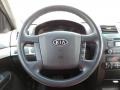 2009 Bright Silver Kia Borrego LX V6  photo #15