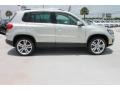 White Gold Metallic - Tiguan SEL Photo No. 10