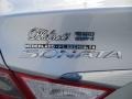 Radiant Silver - Sonata GLS Photo No. 15