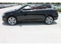 2013 Black Pearl Metallic Volkswagen Eos Executive  photo #5