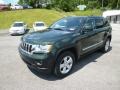 2011 Natural Green Pearl Jeep Grand Cherokee Laredo X Package 4x4  photo #3