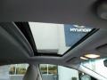 2011 Radiant Silver Hyundai Sonata Limited 2.0T  photo #11