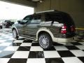 Dark Stone Metallic - Explorer Eddie Bauer 4x4 Photo No. 4