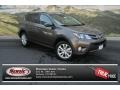 Pyrite Mica - RAV4 Limited AWD Photo No. 1