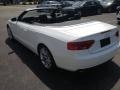 2013 Ibis White Audi A5 2.0T quattro Cabriolet  photo #35