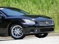 Super Black - Maxima 3.5 SV Photo No. 27