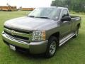 Graystone Metallic - Silverado 1500 LT Regular Cab 4x4 Photo No. 20