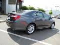 2013 Magnetic Gray Metallic Toyota Camry XLE  photo #19