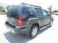 2010 Night Armor Metallic Nissan Xterra S  photo #9