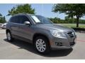 Alpine Grey Metallic - Tiguan SE Photo No. 7