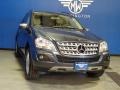 Steel Grey Metallic - ML 350 Photo No. 1