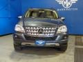 2010 Steel Grey Metallic Mercedes-Benz ML 350  photo #2