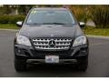 Black - ML 350 4Matic Photo No. 2