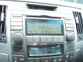 2009 Hyundai Sonata Limited Audio System