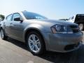 Tungsten Metallic - Avenger SE V6 Photo No. 4