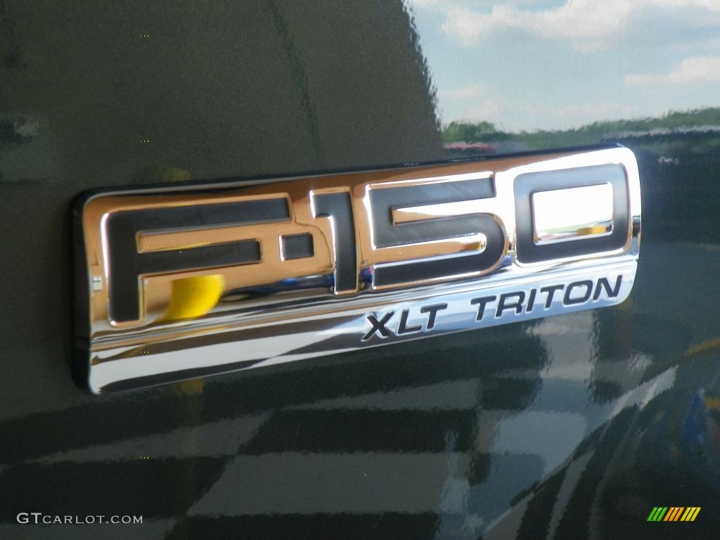 2005 F150 XLT SuperCrew - Aspen Green Metallic / Tan photo #7