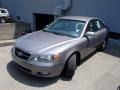 Steel Gray - Sonata GLS V6 Photo No. 3