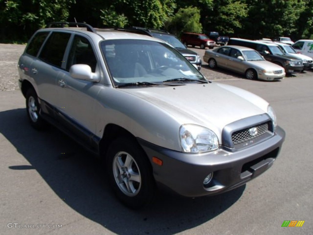 2004 Santa Fe GLS 4WD - Pewter / Gray photo #2