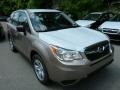 Burnished Bronze Metallic - Forester 2.5i Photo No. 6