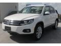 Candy White - Tiguan SE 4Motion Photo No. 3