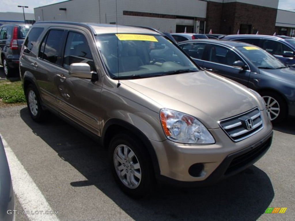 2005 CR-V Special Edition 4WD - Sahara Sand Metallic / Ivory photo #1