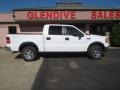 Oxford White - F150 XLT SuperCrew 4x4 Photo No. 3