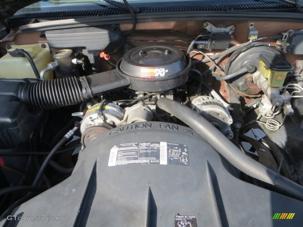 1994 Chevrolet C/K C1500 Regular Cab 4.3 Liter OHV 12-Valve V6 Engine Photo #82667776