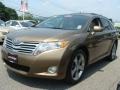 Golden Umber Mica - Venza V6 AWD Photo No. 3